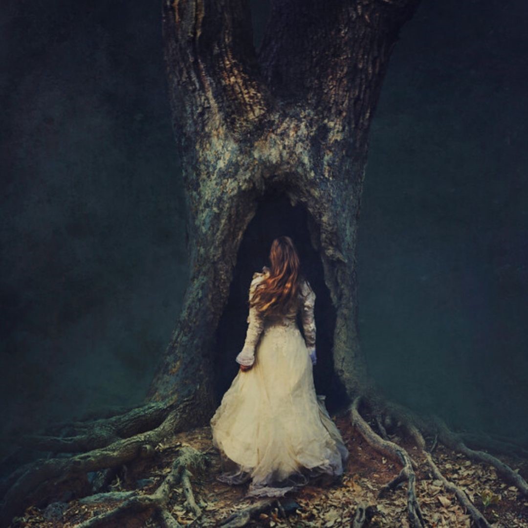 Beneath the Mother Tree